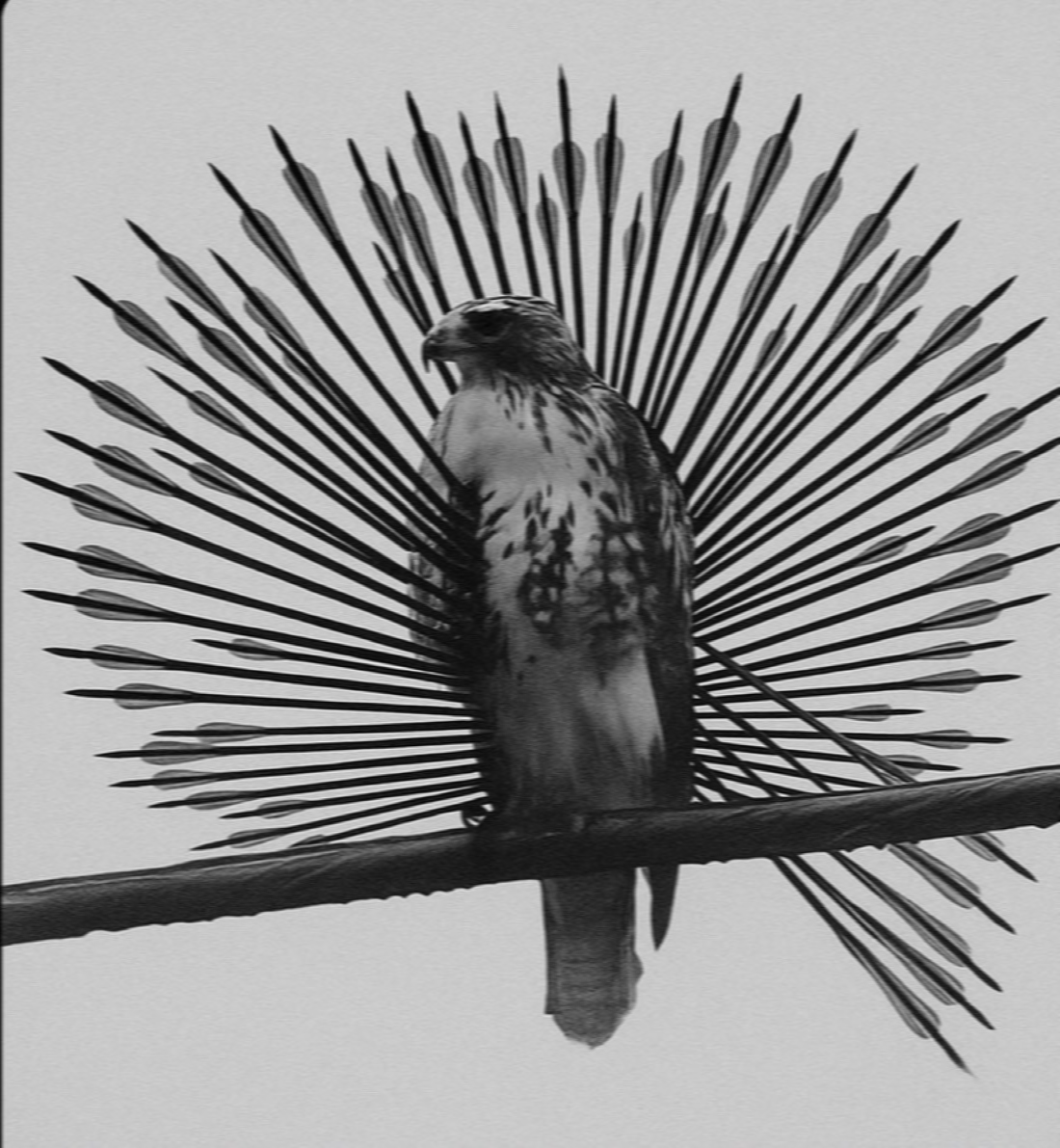 Developing a Trading Philosophy